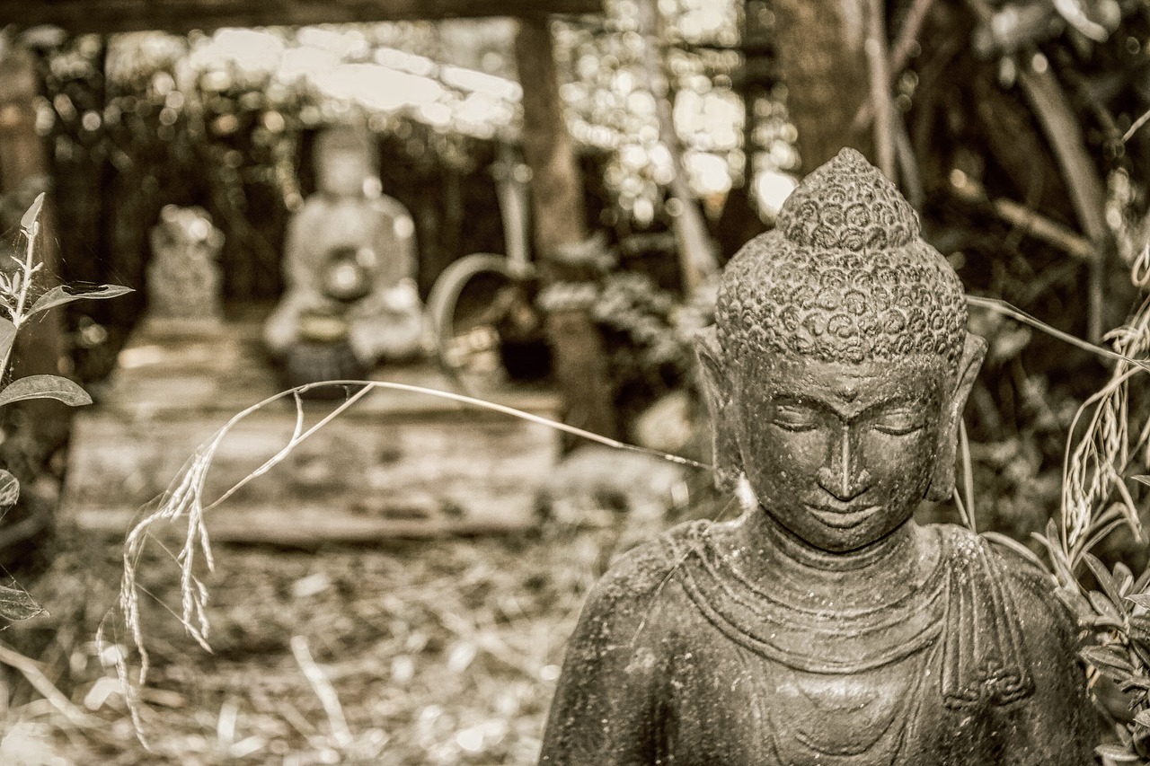 The Secrets of Ancient Indian Spiritual Practices
